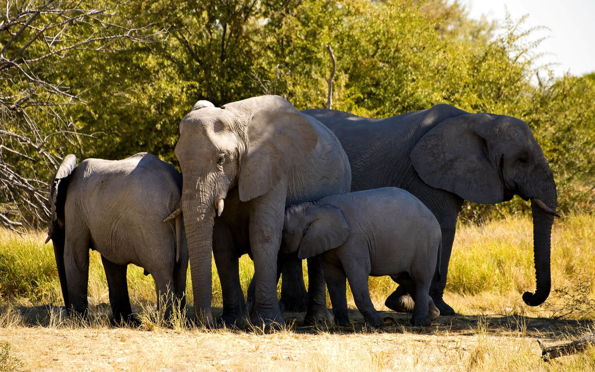 10 Days Best of Rwanda