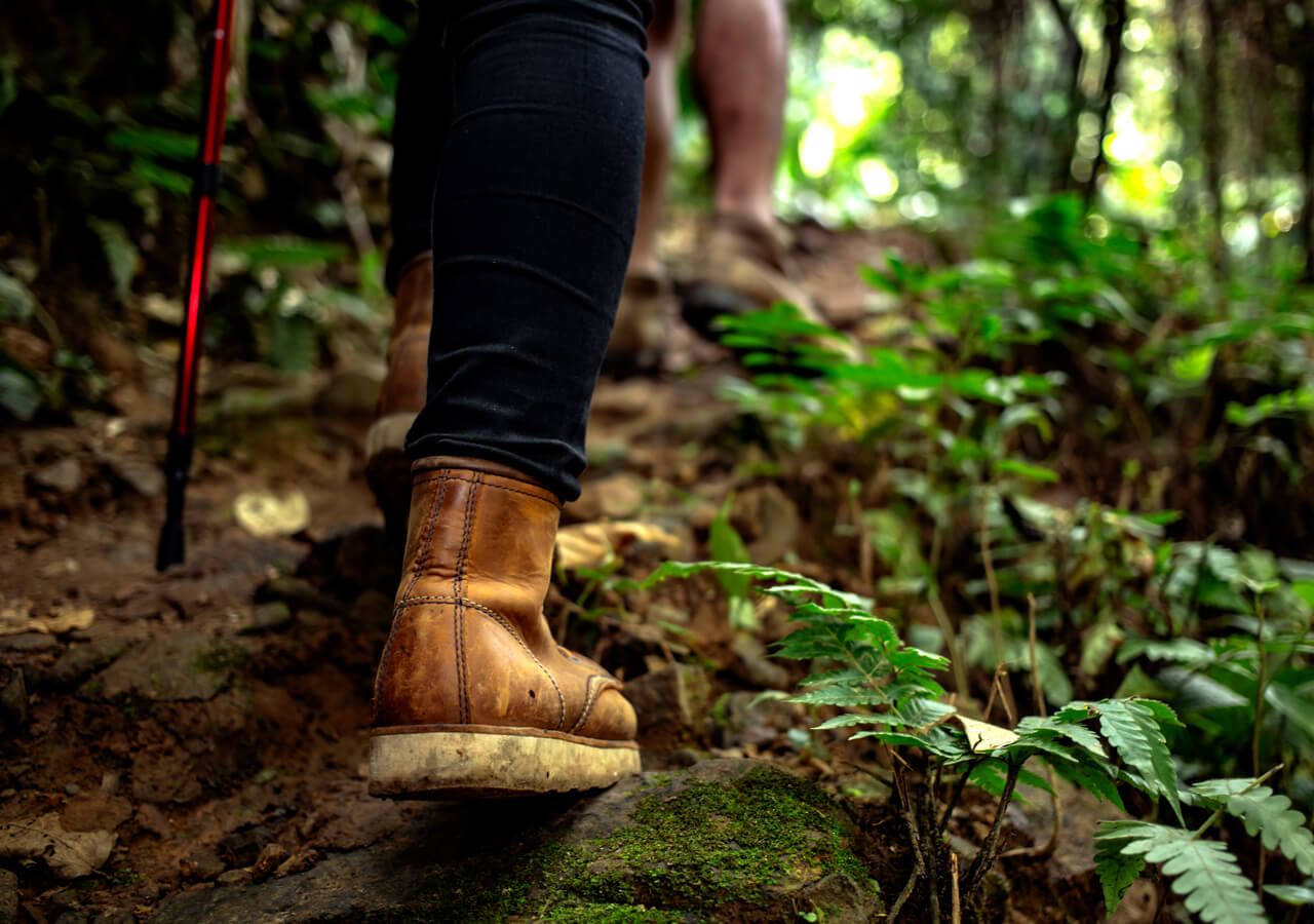 Hiking and Nature Walks