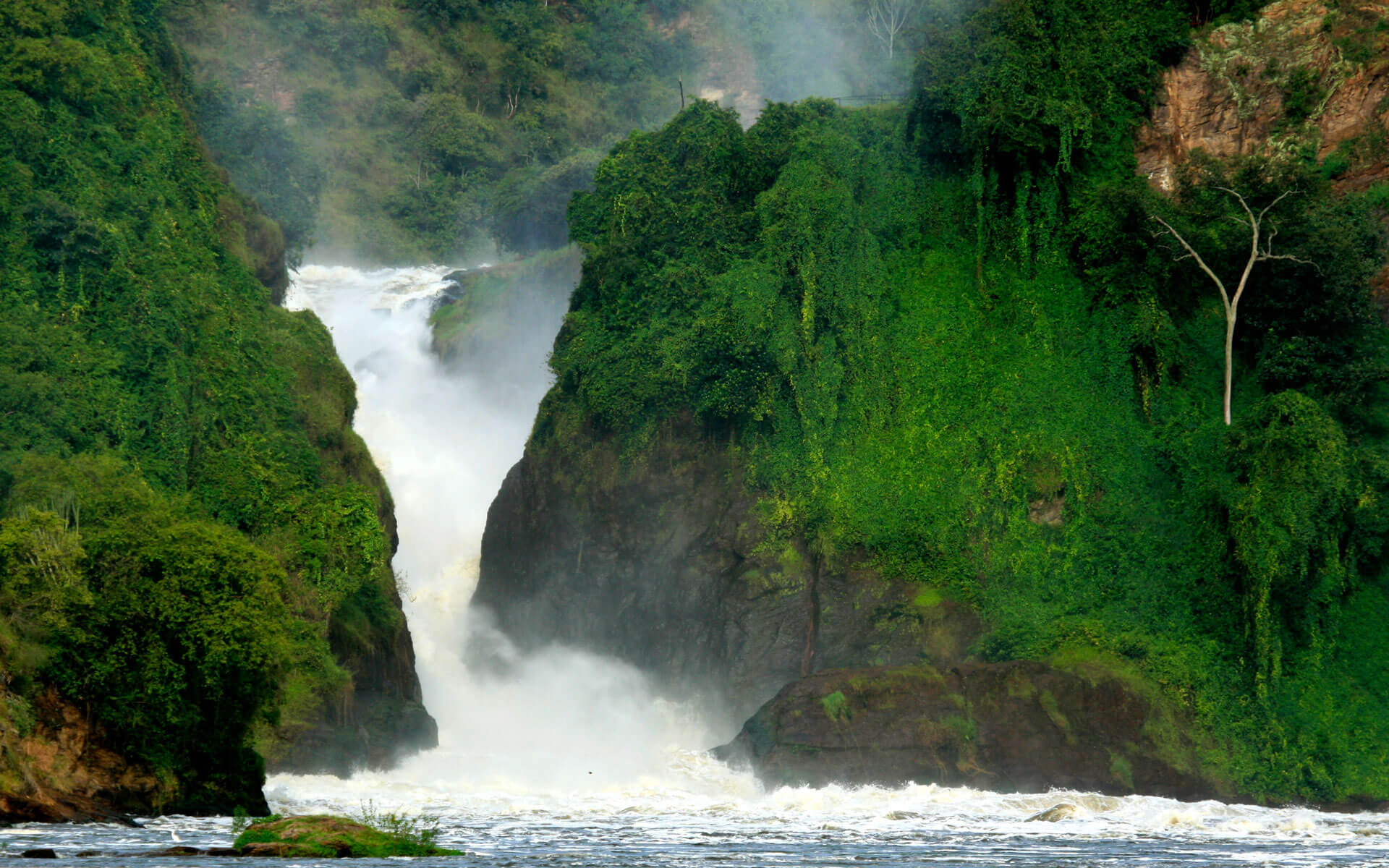 10 Days Rwanda & Uganda